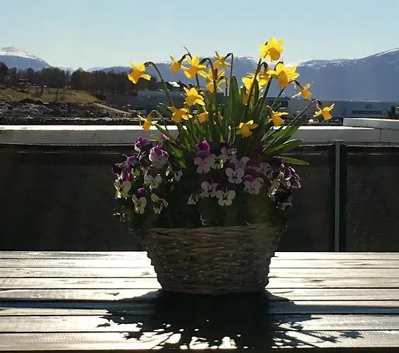 Apartman Ytterland *