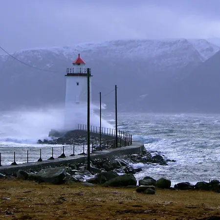 Ytterland شقة Ålesund